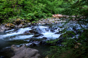 8.8.2017 - Olympic NP, Wanderung zu den Sol Duc Falls