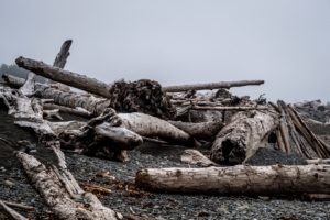 9.8.2017 - Olympic NP, Rialto Beach