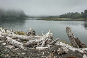 9.8.2017 - Olympic NP, Rialto Beach