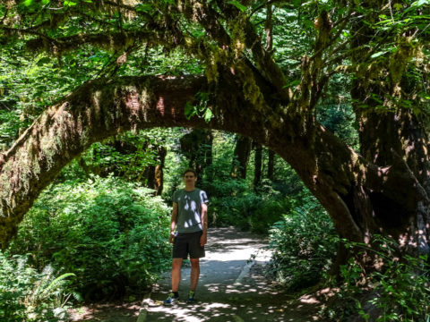 10.8.2017 - Olympic NP, Hoh Rain Forest, Hall of Mosses Trail