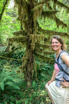10.8.2017 - Olympic NP, Hoh Rain Forest, Hoh Rain Trail