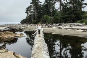 11.8.2017 - Olympic NP, Kalaloch, Klettern