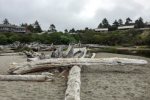 11.8.2017 - Olympic NP, Kalaloch, Klettern