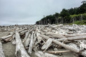 11.8.2017 - Olympic NP, Kalaloch, Klettern