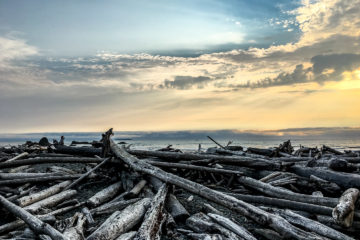 11.8.2017 - Olympic NP, Ruby Beach