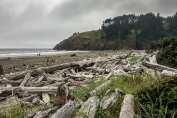 12.8.2017 - Cape Disappointment SP, Benson Beach