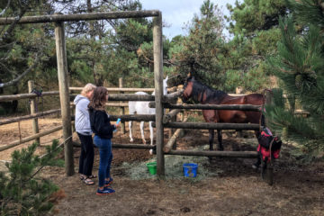 14.8.2017 - Nehalem Bay SP, Horse Campsites