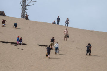 14.8.2017 - Cape Kiwanda Natural Park, Aufstieg zum Sandboarding