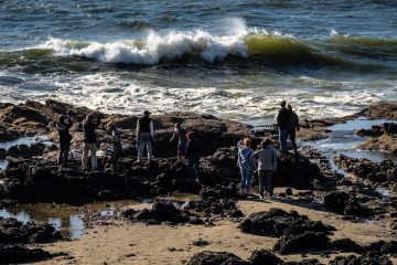 15.8.2017 - Cape Perpetua, Cooks Chasm