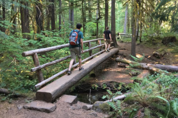 17.8.2017 - Paradise in Oregon, McKenzie River Trail