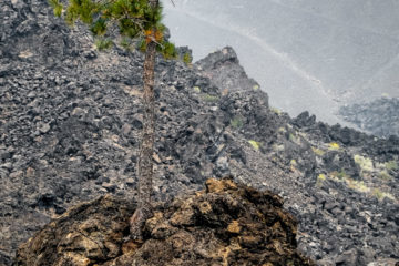 18.8.2017 - Cinder Cone Lava Flow, Newberry Volcanic NM