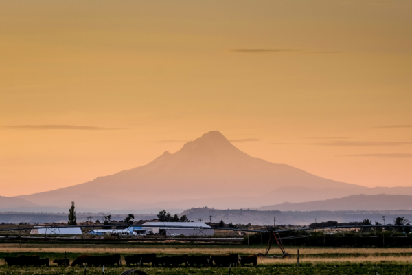 20.8.2017 - Anreise zur Eclipse. Mt.Hood, 90km Luftlinie