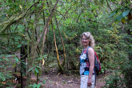 5.8.2017 - Scenic Beach State Park, Wanderung