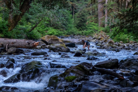 8.8.2017 - Olympic NP, Wanderung zu den Sol Duc Falls