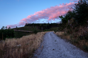 23.8.2017 - Abendwanderung auf das Eagle Cliff