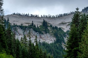 24.8.2017 - Mt.Rainier NP, Inspiration Point