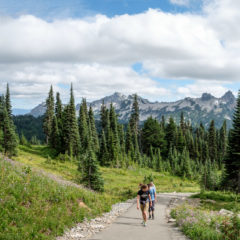 24.8.2017 - Mt.Rainier NP, Skyline Trail Wanderung