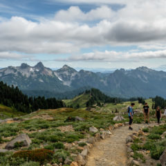 24.8.2017 - Mt.Rainier NP, Skyline Trail Wanderung