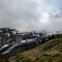 24.8.2017 - Mt.Rainier NP, Skyline Trail Wanderung