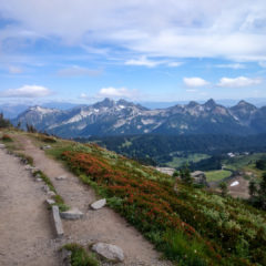 24.8.2017 - Mt.Rainier NP, Skyline Trail Wanderung