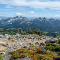 24.8.2017 - Mt.Rainier NP, Skyline Trail Wanderung