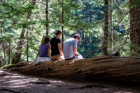 25.8.2017 - Mt.Rainier NP, Wanderung zu den Carter Falls