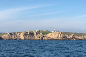 14.10.2017 - Mit der Scillonian III von St.Mary's nach Penzance; Peninnis Head