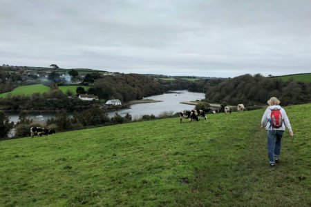 28.10.2017 - Helford Wanderung, Gillan River