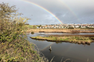 5.11.2017 - RSPB Lodmoor