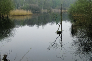 Wunderschön, das Naturschutzgebiet Schwalm-Nette.
