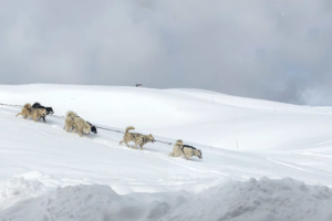 31.3.2018: Hütte an der Colosses-Piste