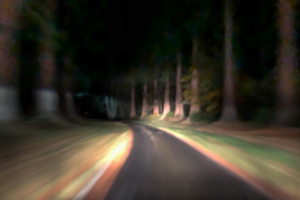 2.11.2018 - Redwood Alley, Minsteracres
