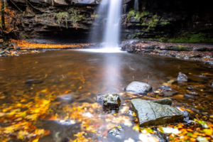3.11.2018 - Workshop Phillip Clegg, Summerhill Force