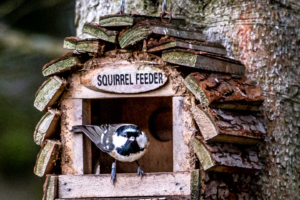 4.11.2018 - Bird Hide am Derwent Reservoir