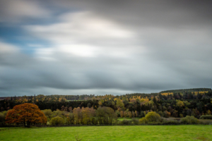 4.11.2018 - Derwent Reservoir