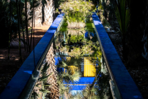 24.1.2019 - Marrakesch, Jardin Majorelle