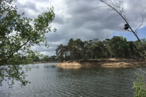 4.5.2019, Beekse Bergen: Okavango ;-)