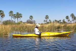 2.9.2019 - Kayak Tag 3, heute nur 1,5 std paddeln