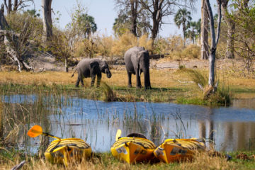 2.9.2019 - Kayak Tag 3, Elefantenbesuch beim Camp 3