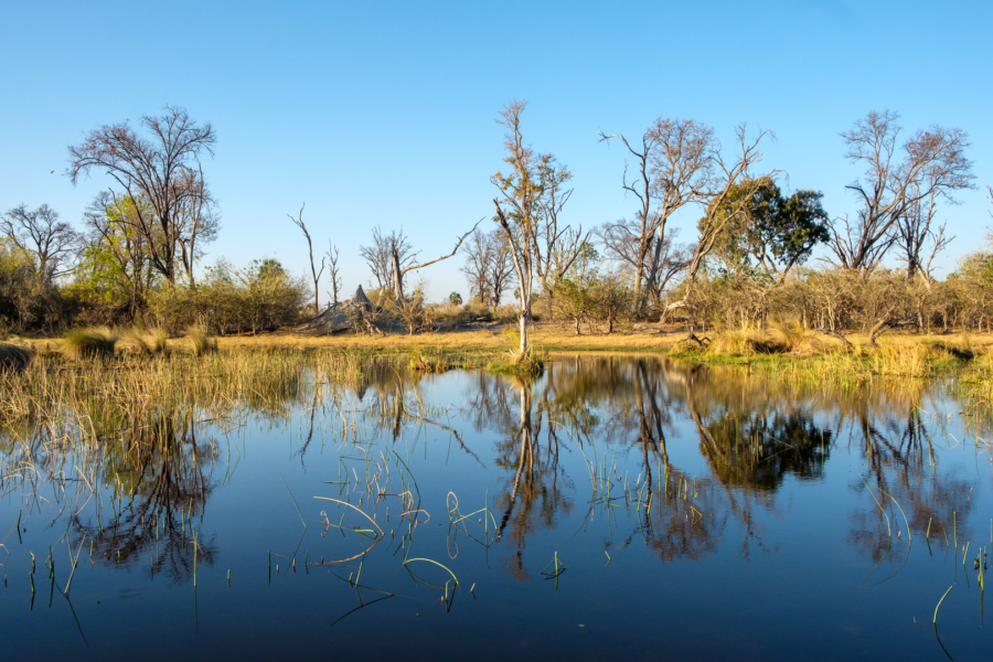 2.9.2019 - Kayak Tag 3, Abendstimmung in Camp 3