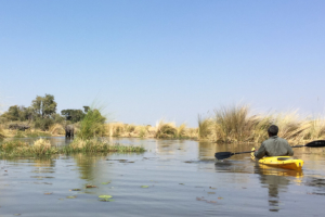 4.9.2019 - Kayak Tag 5 - 5,5 std Rückfahrt - Eli-Blockade