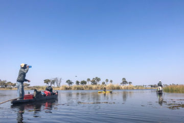 4.9.2019 - Kayak Tag 5 - 5,5 std Rückfahrt