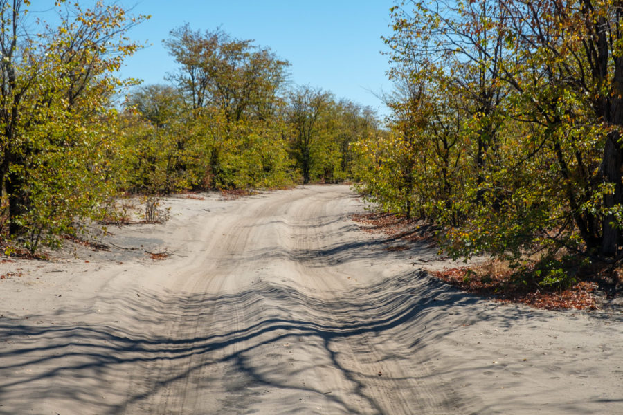 9.9.2019 - North Gate -> Mababe Gate