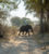 Afrika 2019: Caprivi
