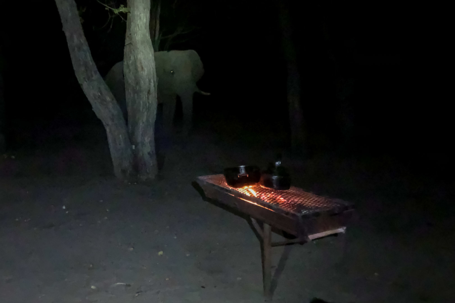 6.9.2019 - Moremi South Gate - Elefant beäugt den 1-Flammen-Herd ;-)