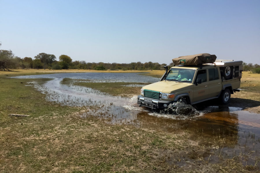 7.9.2019 - Moremi, Bodomatau Lagoon