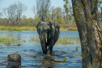 7.9.2019 - Moremi, Picknick Makerekwa - mit Elefantenbesuch