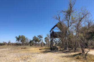 8.9.2019 - Moremi Hippo Pool