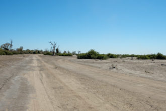 9.9.2019 - Chobe Marsh Road