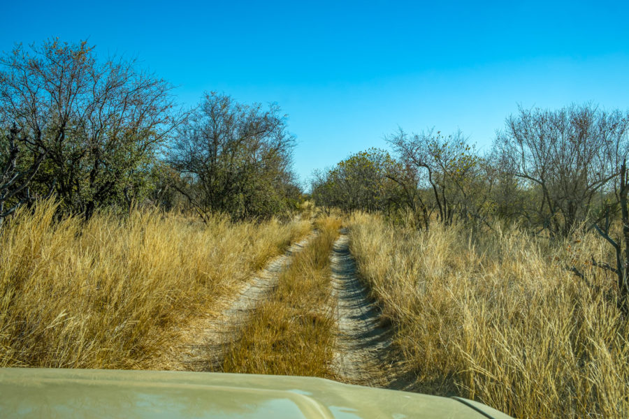 9.9.2019 - Savuti, Eastern Road